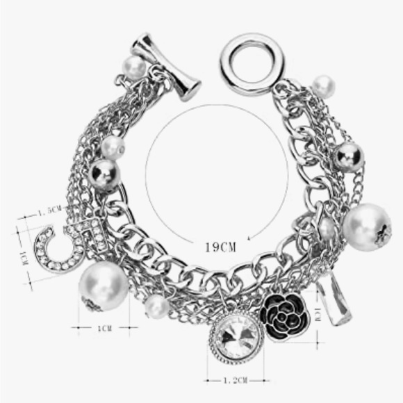 Silver Inspired Charm Bracelet - Picture 2 of 4